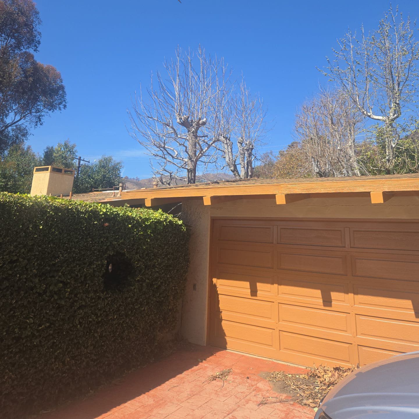 Venice Roofing Contractor