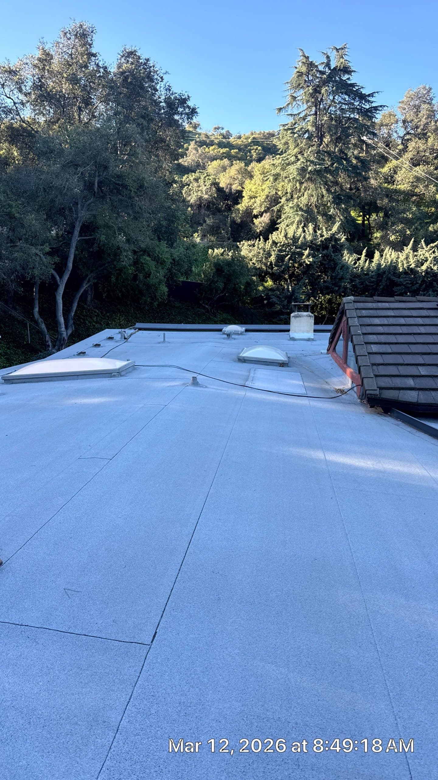 Flat rooftop with skylights and wooded hillside