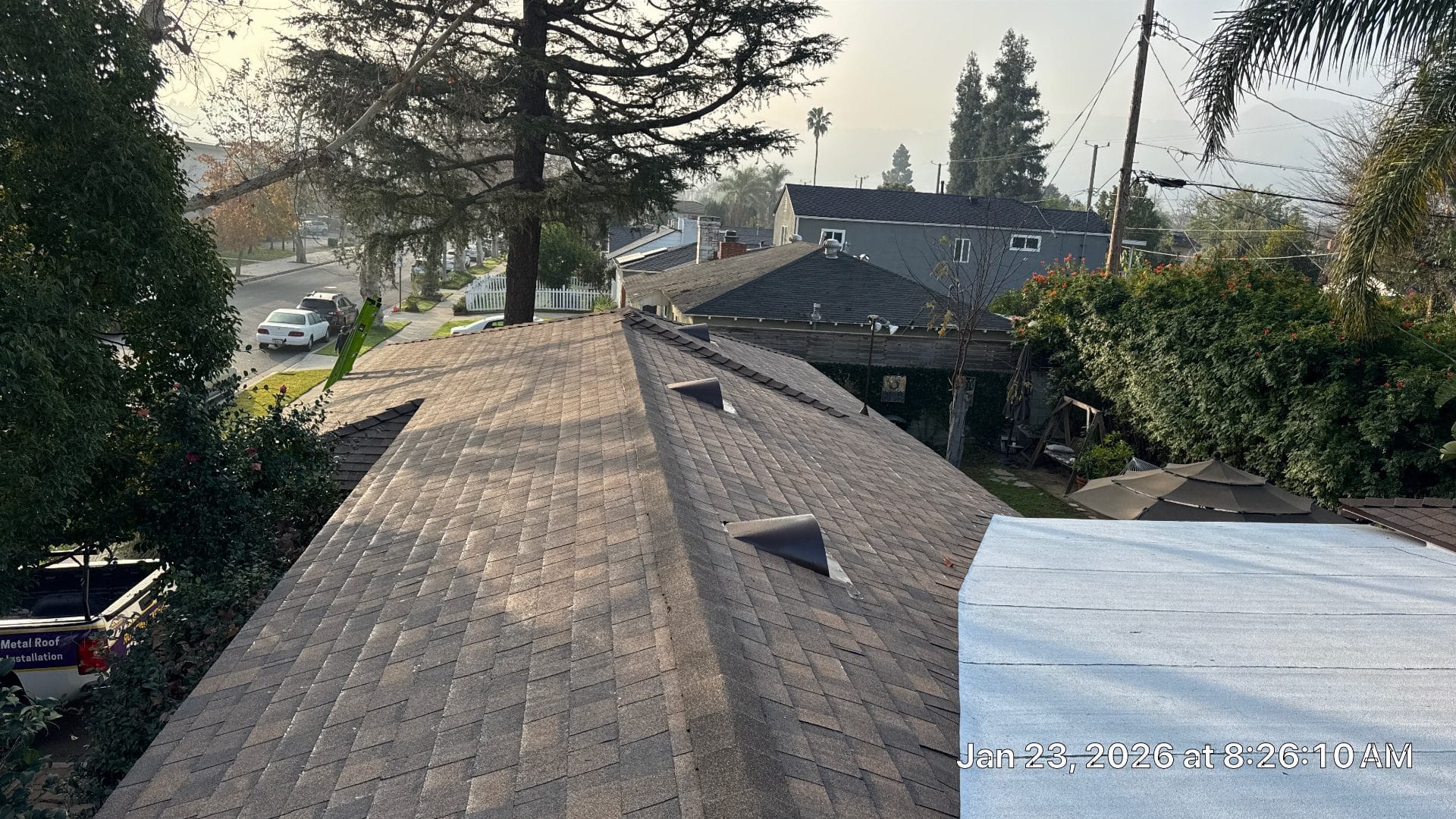 Aged asphalt shingle roof with roof vents and tree overhang in Burbank | Roof Replacement Inc aged asphalt shingle roof with roof vents and tree overhang — Burbank — Roof Replacement Inc