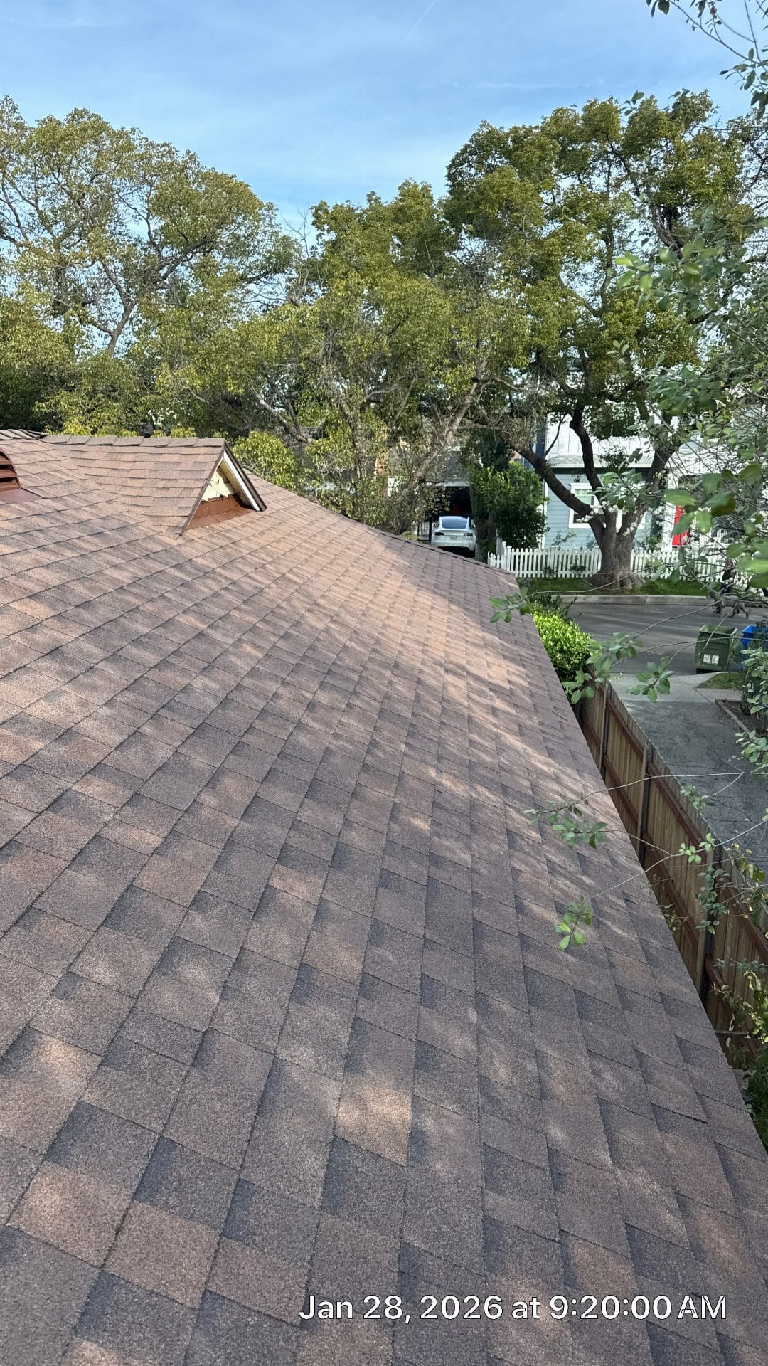 Asphalt shingle roof slope with dormer vent, wood fence below | Roof Replacement Inc Asphalt shingle roof slope with dormer vent, wood fence below — Roof Replacement Inc