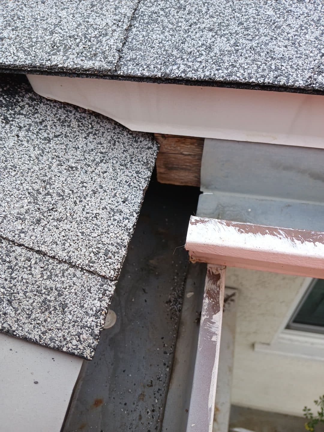 Damaged fascia board and gutter at asphalt shingle roof eave | Roof Replacement Inc Damaged fascia board and gutter at asphalt shingle roof eave — Roof Replacement Inc
