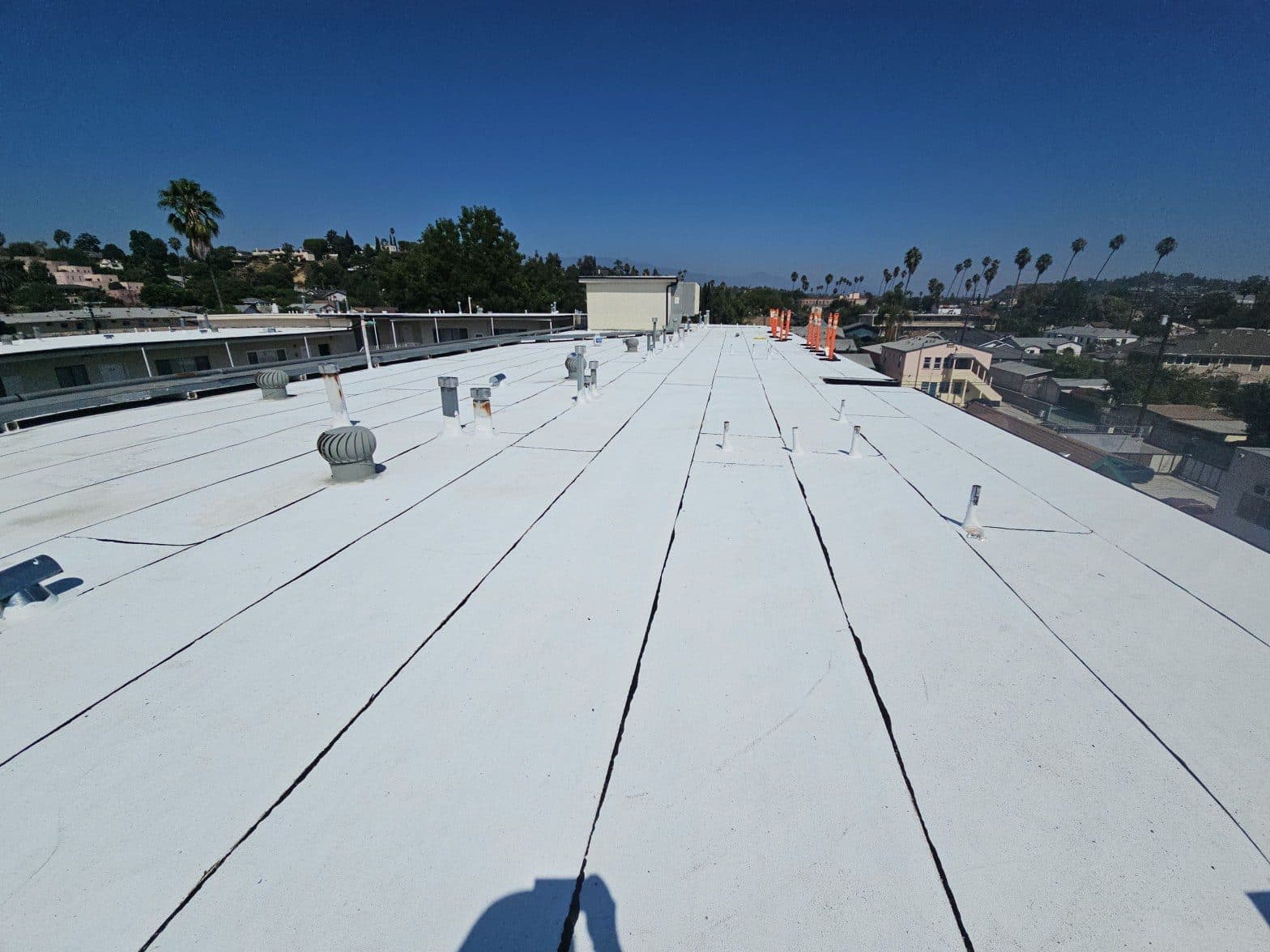 Finding Water Intrusion in Your Roof Before Major Structural Damage Occurs
