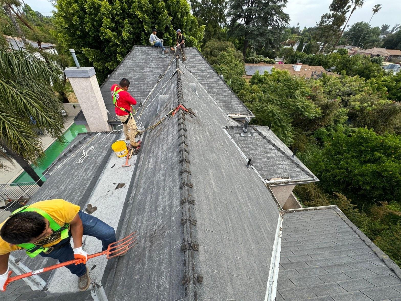 Completed professional work at Roof Replacement Inc