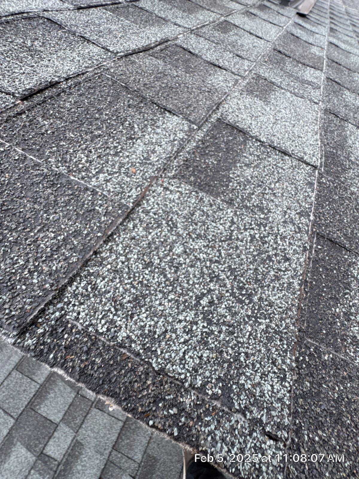 worn asphalt shingles with granule loss and curling edges — La Crescenta-Montrose — Roof Replacement Inc